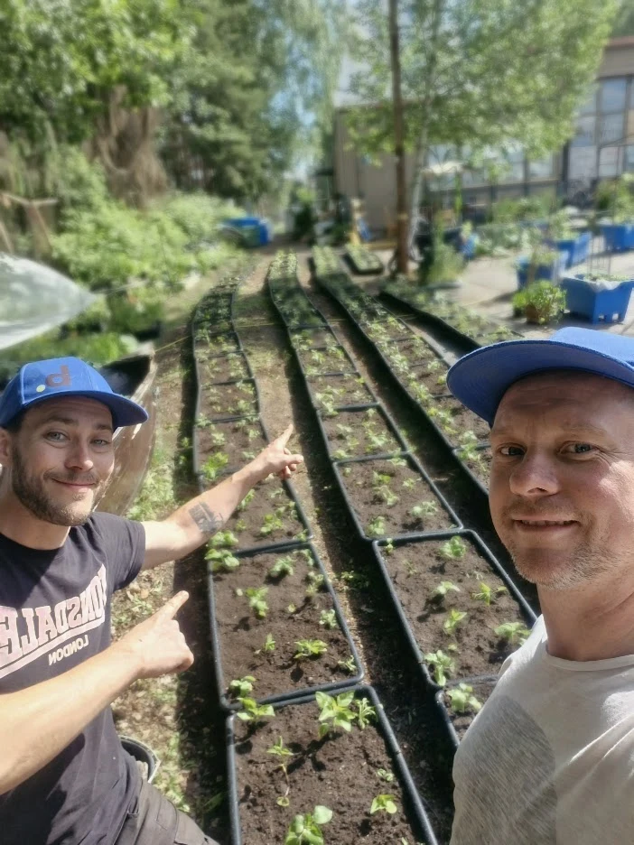 Blokgardenin tekijöitä viljelyalueella